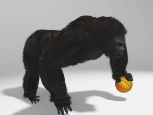 gorilla rig 3ds max 3D Модель