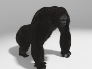 gorilla rig 3ds max Model 3D