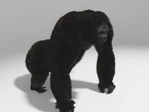 gorilla rig 3ds max 3D Model