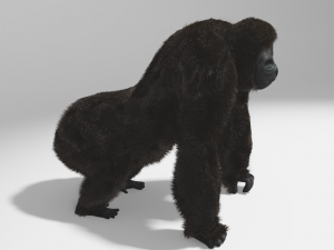 gorilla rig 3ds max Model 3D