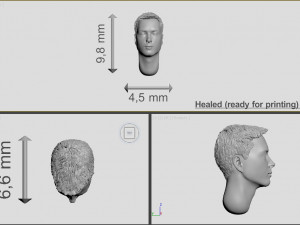 head of ukrainian man with hair 3D 打印模型