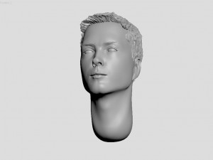 head of ukrainian man with hair 3D 打印模型