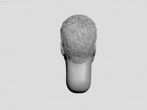 head of ukrainian man with hair 3D 打印模型