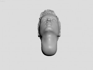 head of ukrainian man with hair 3D 打印模型