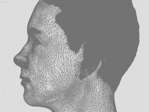head of ukrainian man with hair 3D 打印模型