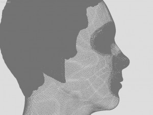 head of ukrainian man with hair 3D 打印模型