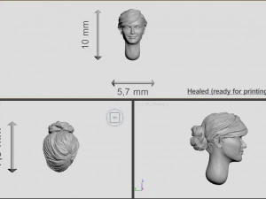 head of ukrainian women with hair 3D Print Model