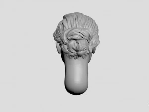 head of ukrainian women with hair 3D Print Model