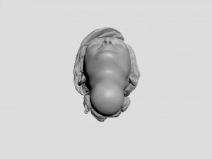head of ukrainian women with hair 3D Print Model