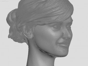 head of ukrainian women with hair 3D Print Model