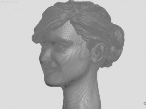 head of ukrainian women with hair 3D Print Model
