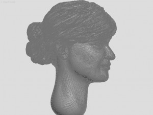 head of ukrainian women with hair 3D Print Model