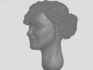head of ukrainian women with hair 3D Print Model