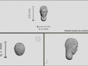 head of japanese man with hair Modelo de Impressão 3D