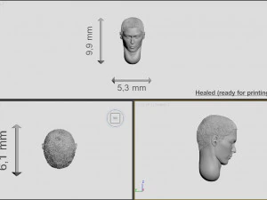 head of japanese man with hair 3D Print Model