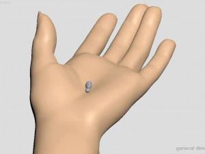 head of japanese man with hair 3D Print Model