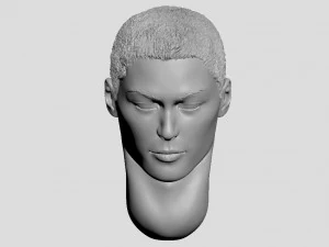 head of japanese man with hair 3D Print Model