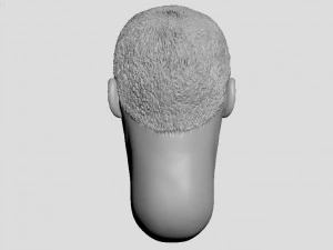 head of japanese man with hair 3D Print Model
