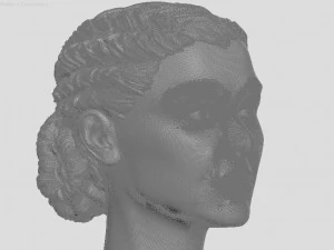 head of maldivas woman with hair 3D Print Model