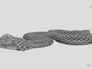 snake 3D Model
