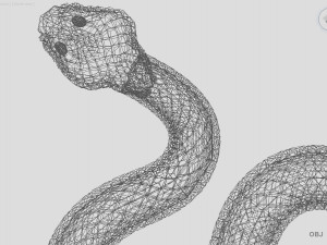 snake Model 3D