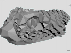 snake Model 3D