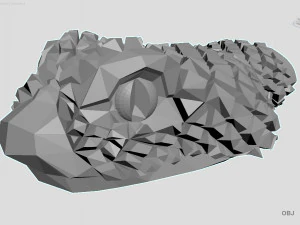 snake 3D Model