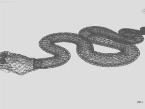 snake Model 3D