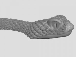 snake Model 3D
