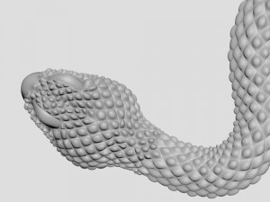snake Model 3D