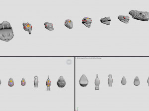 8 snake heads - best for jewelry Model do druku 3D