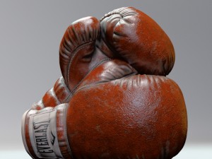 everlast realistic boxing gloves 3D Model