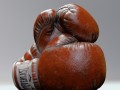 everlast realistic boxing gloves 3D 모델