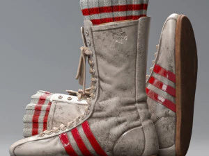 everlast realistic boxing shoes low-poly 3D Model