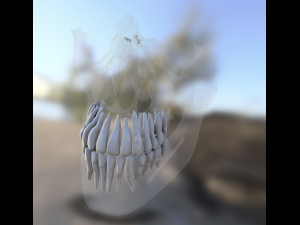 model teeth with jaw and facial skeleton full quality Modello di stampa 3D