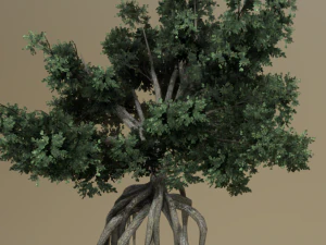 gewortelde boom 3D Model