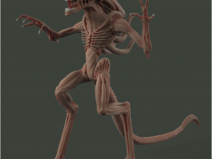alien 3D-Modell