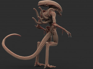 alien 3Dモデル
