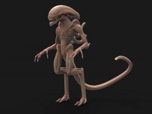 alien 3Dモデル