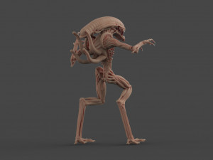 alien 3Dモデル