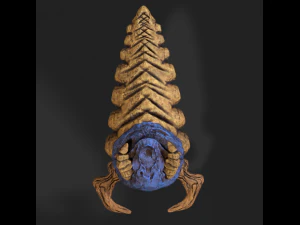 地下幼虫 3D 模型