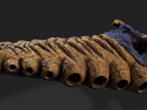 underground larvae Model 3D