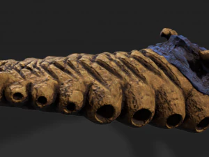 地下幼虫 3D 模型