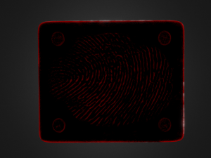 werewolf 3D 模型