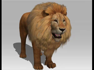 3d lion 3D Model