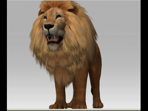 3d lion Modèle 3D