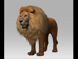 3d lion Modèle 3D