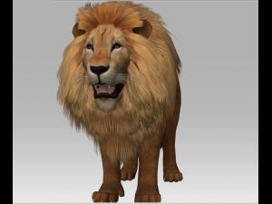 3d lion Modèle 3D