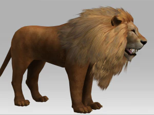 3d lion 3D Model