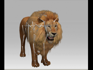 3d lion Modèle 3D